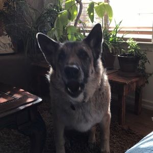 Meet your Posher, Kirk